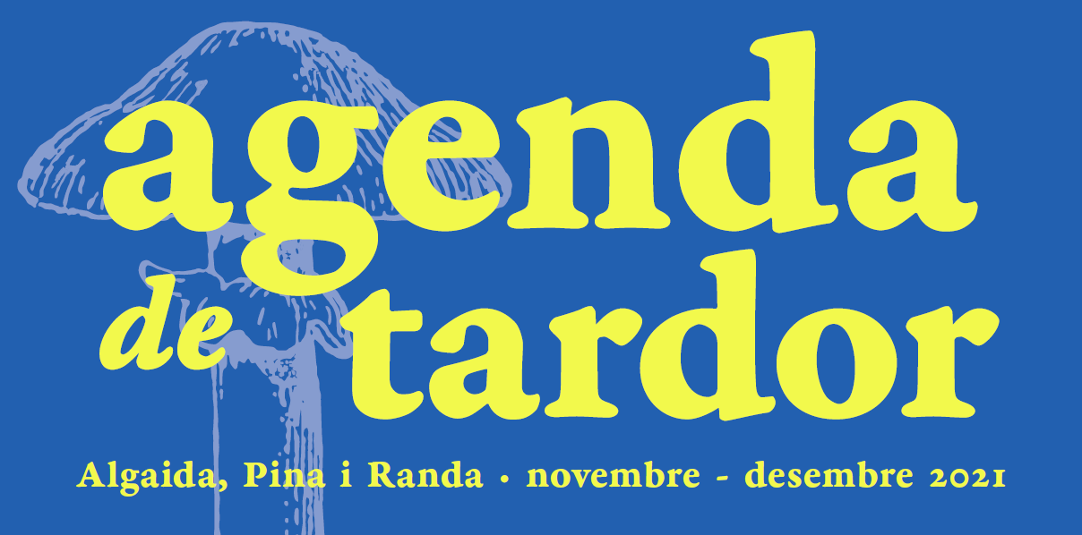 Taller de calendari d’advent