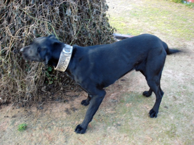 Cans 12-2-09