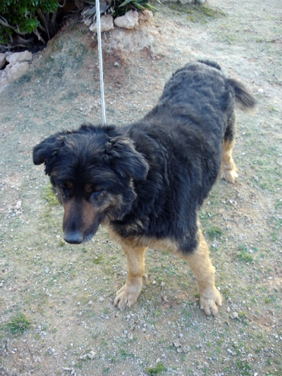 Cans 12-2-11