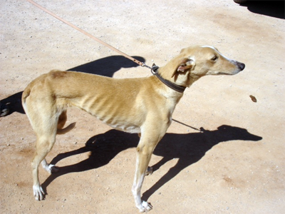 Cans 12-5-11
