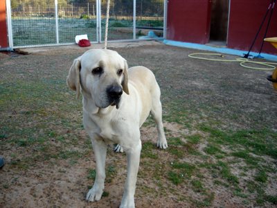Cans 12-1-10