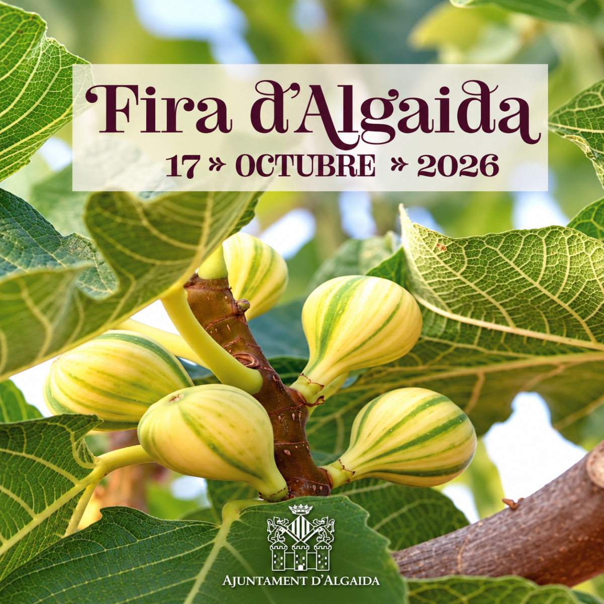 Cartell Fira 2026