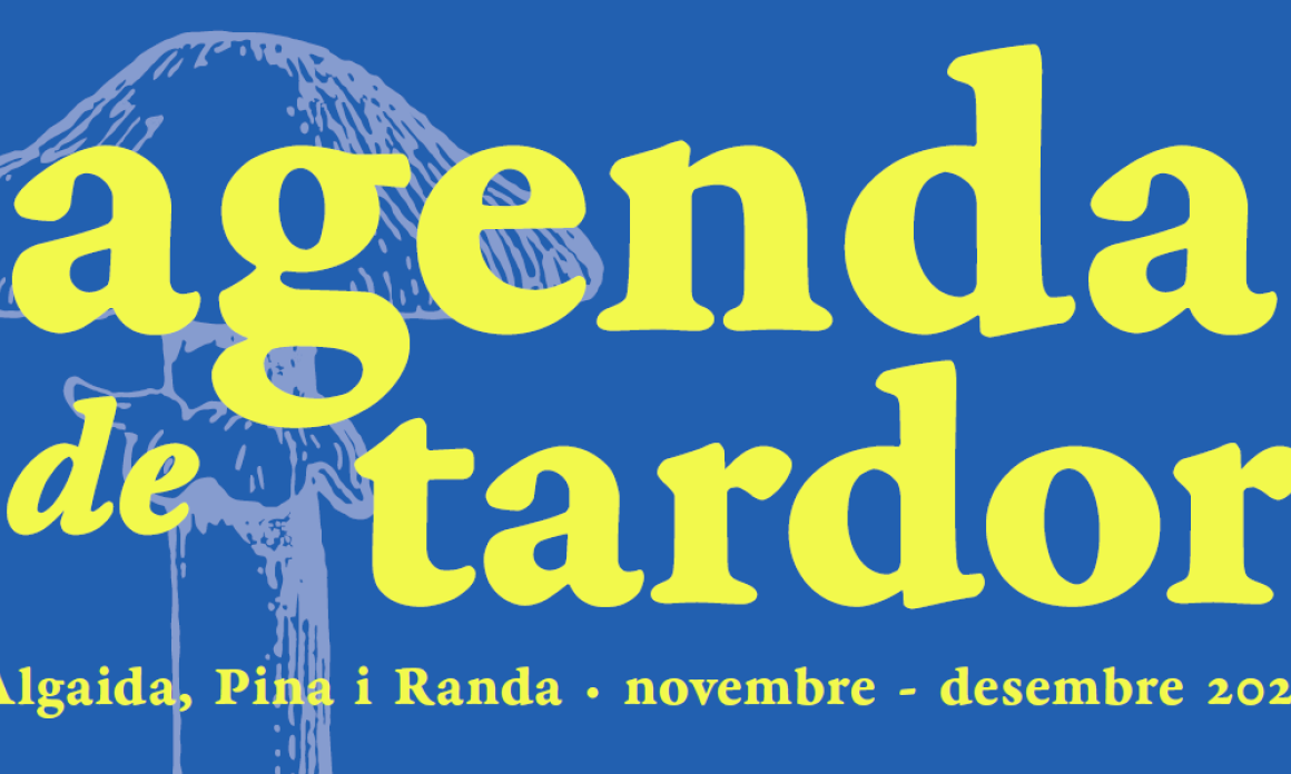 Taller de calendari d’advent