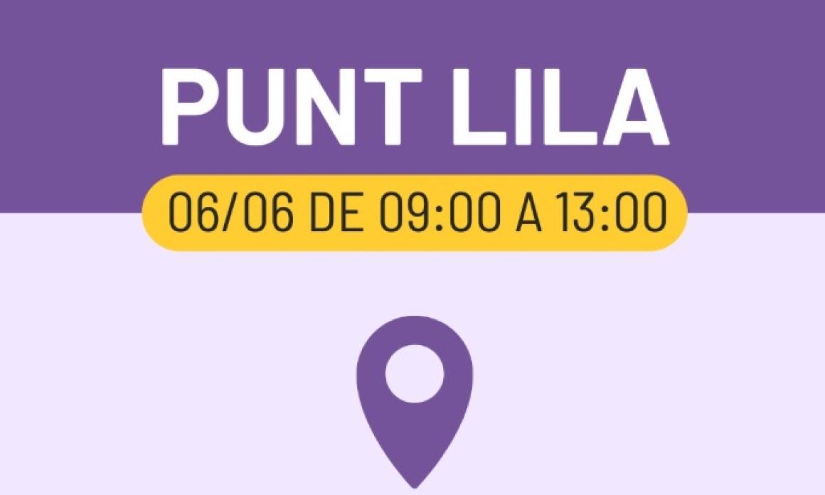 PUNT LILA A ALGAIDA