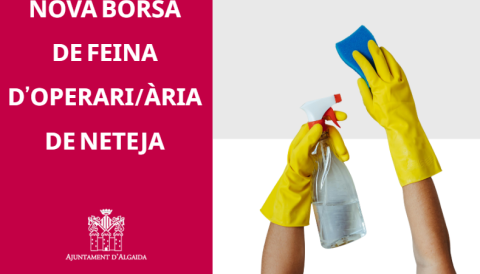 Borsa de feina de neteja