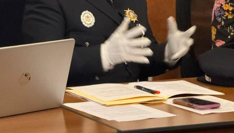 BERNAT SUREDA BALLESTER